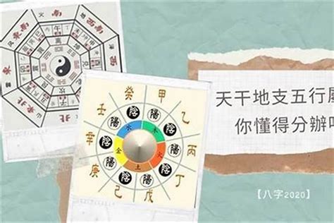 五行測驗|生辰八字算命、五行喜用神查詢（免費測算）